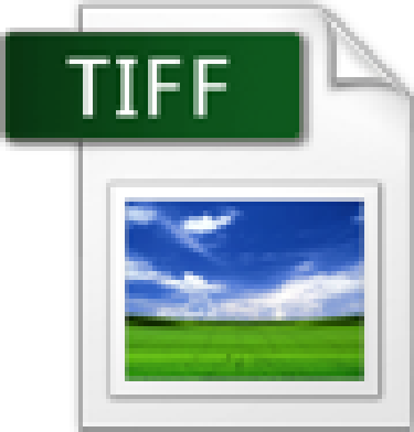 TIFF Icon