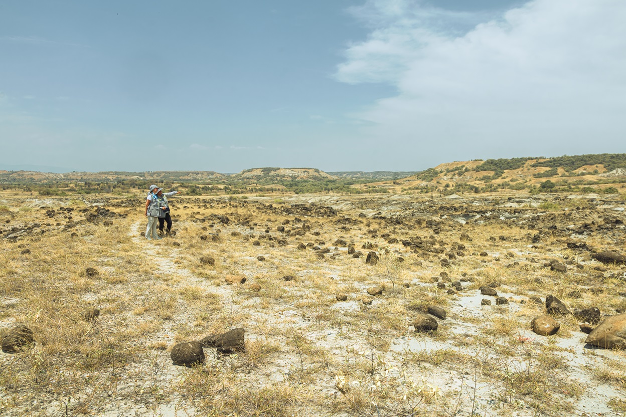 Desierto de la Tatacoa
