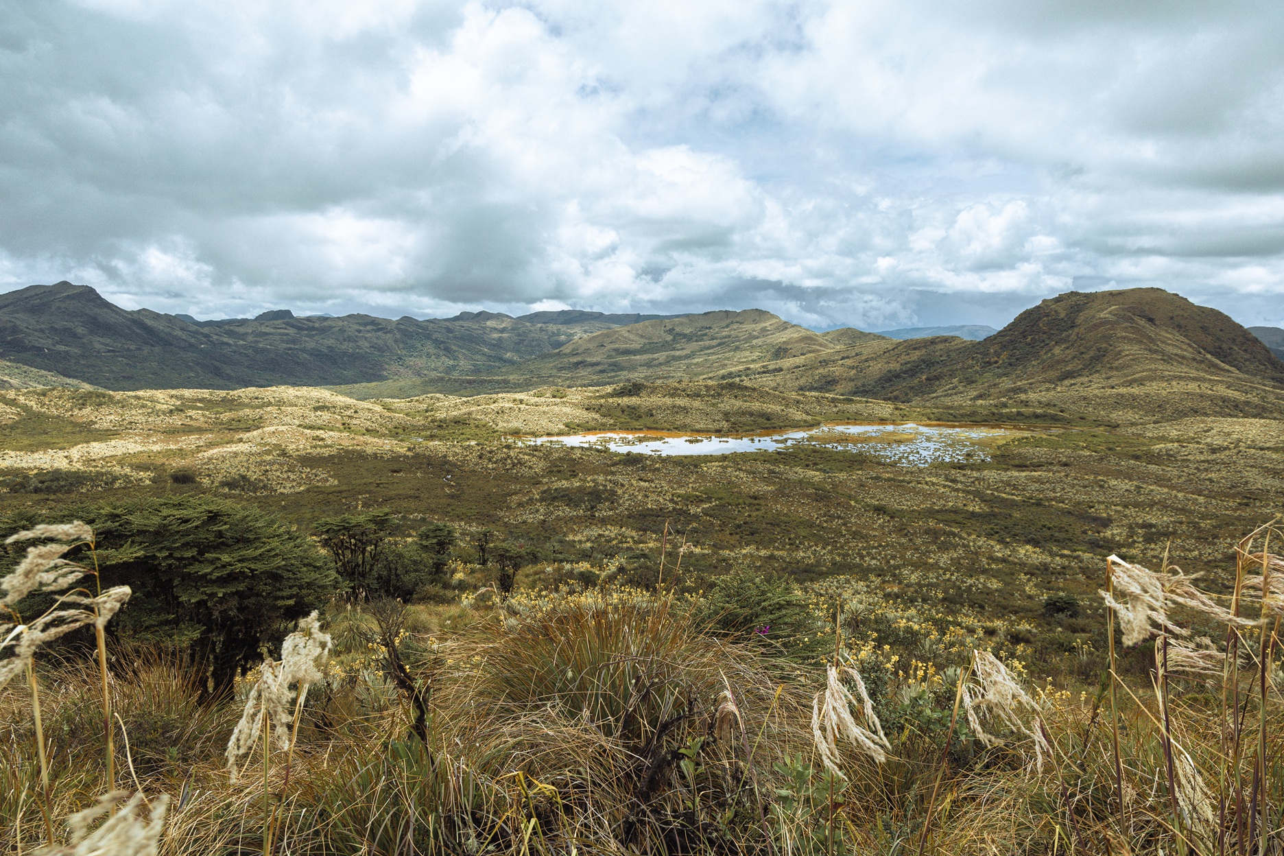 Los estudios isotópicos en el páramo de Chingaza, que abastece el 70% del agua de Bogotá