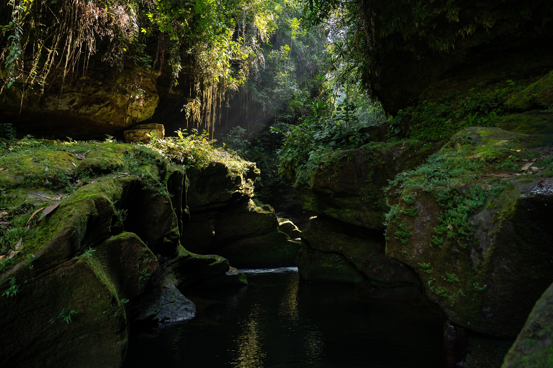 La isotopía permite entender la transición hidroclimática entre los Andes y la Amazonía