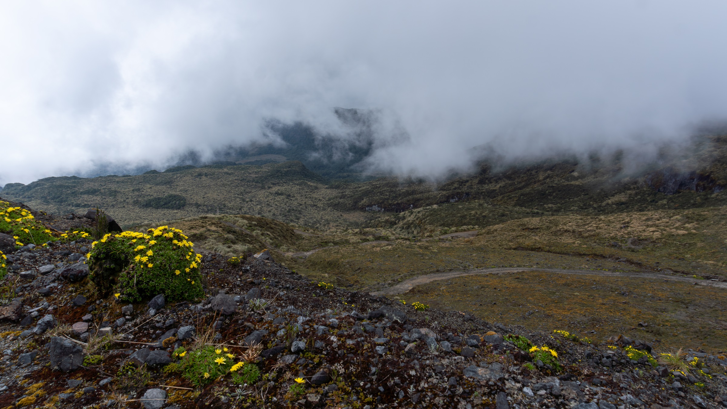Paisaje del volcán Galeras, 2023