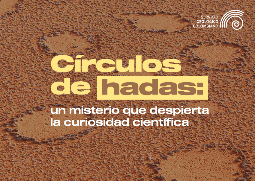 Círculos de hadas: un misterio que despierta la curiosidad científica