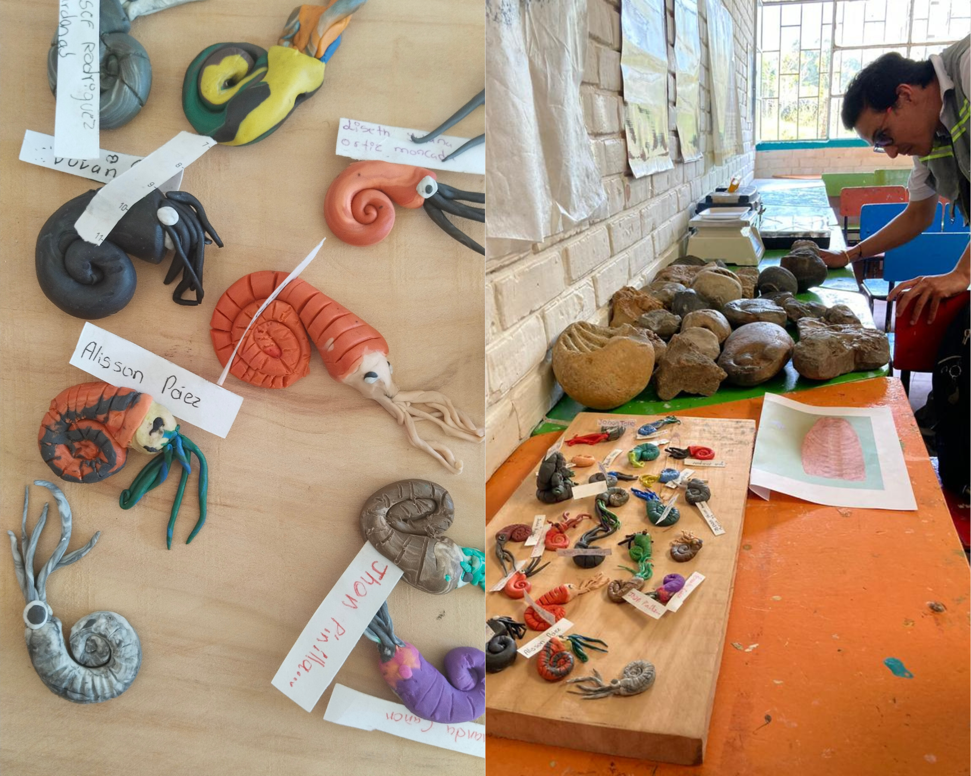 Muestra artística inspirada en la colección de fósiles de la Institución Educativa José María Silva Salazar. 