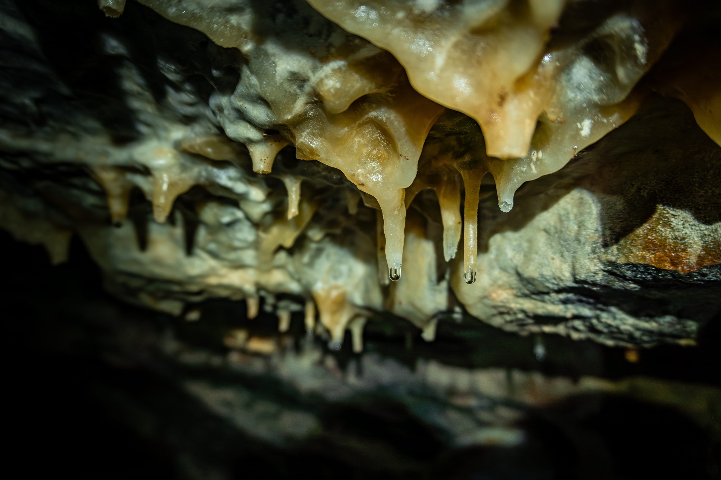 Fotografía de Estalactitas y estalagmitas encontradas en la profundidad de las cavernas