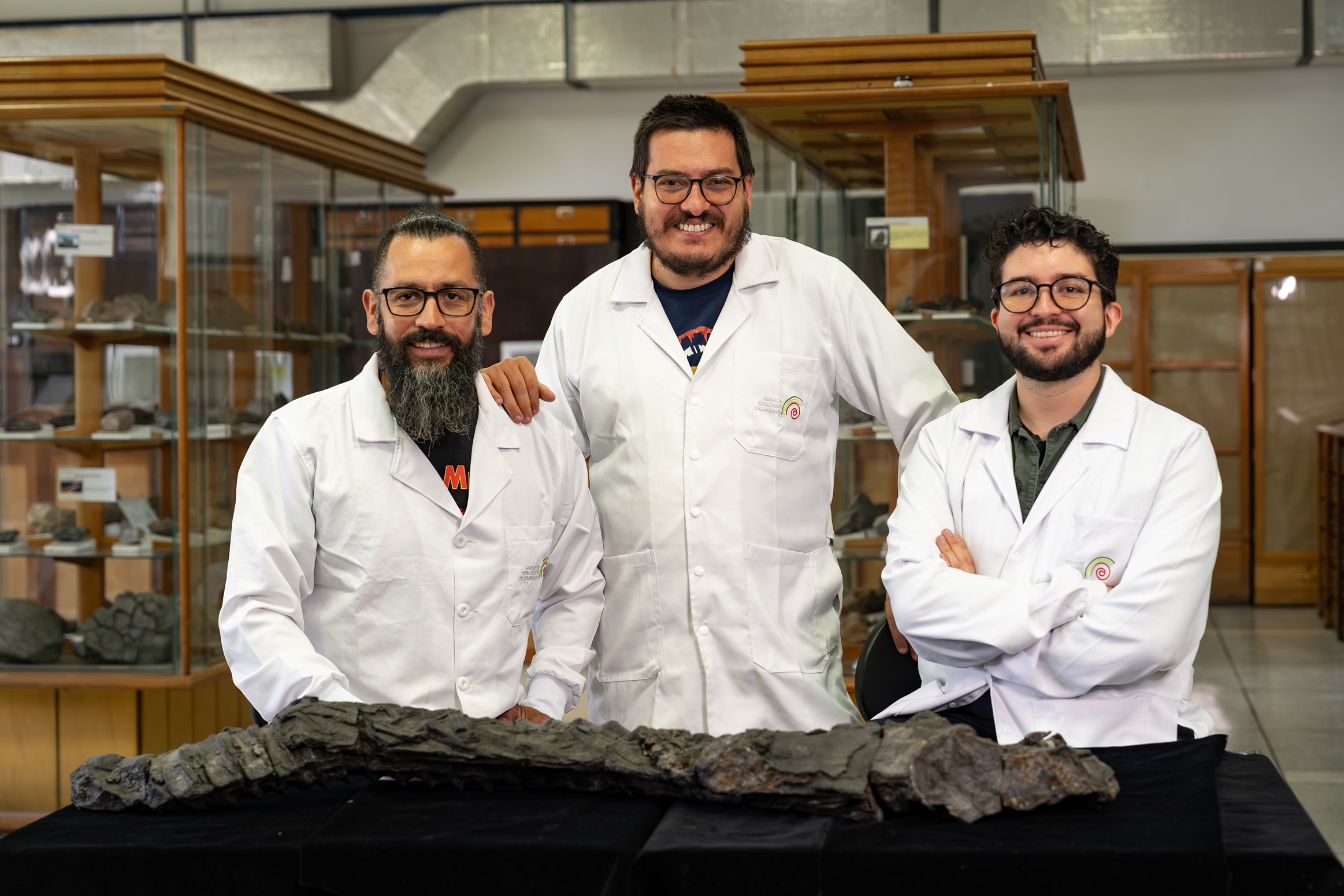 Daniel Pomar, Cristian Benavides y José Narváez, investigadores paleontológicos del Museo Geológico Nacional José Royo y Gómez. 