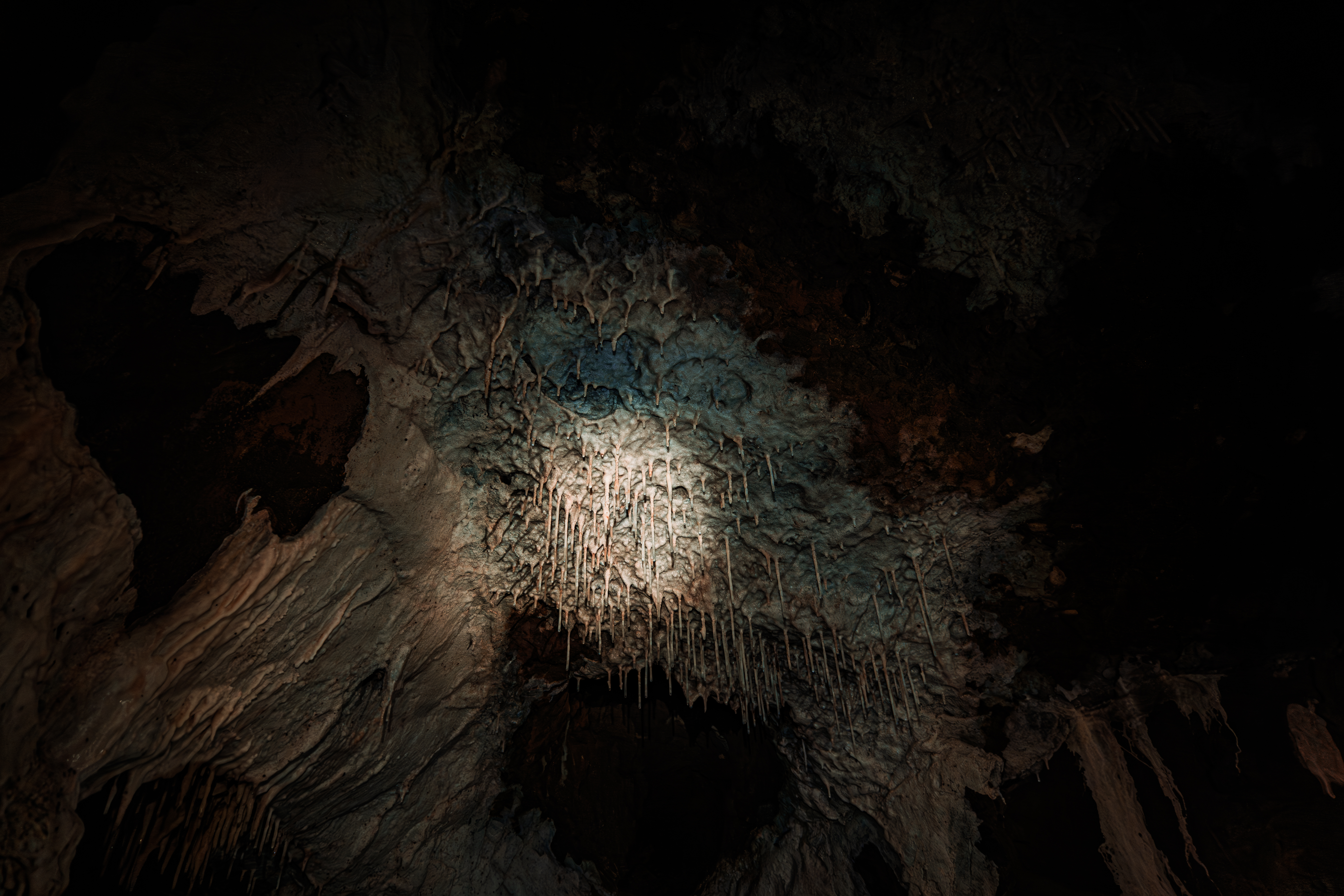 En las cavernas del PNN Cueva de los Guácharos