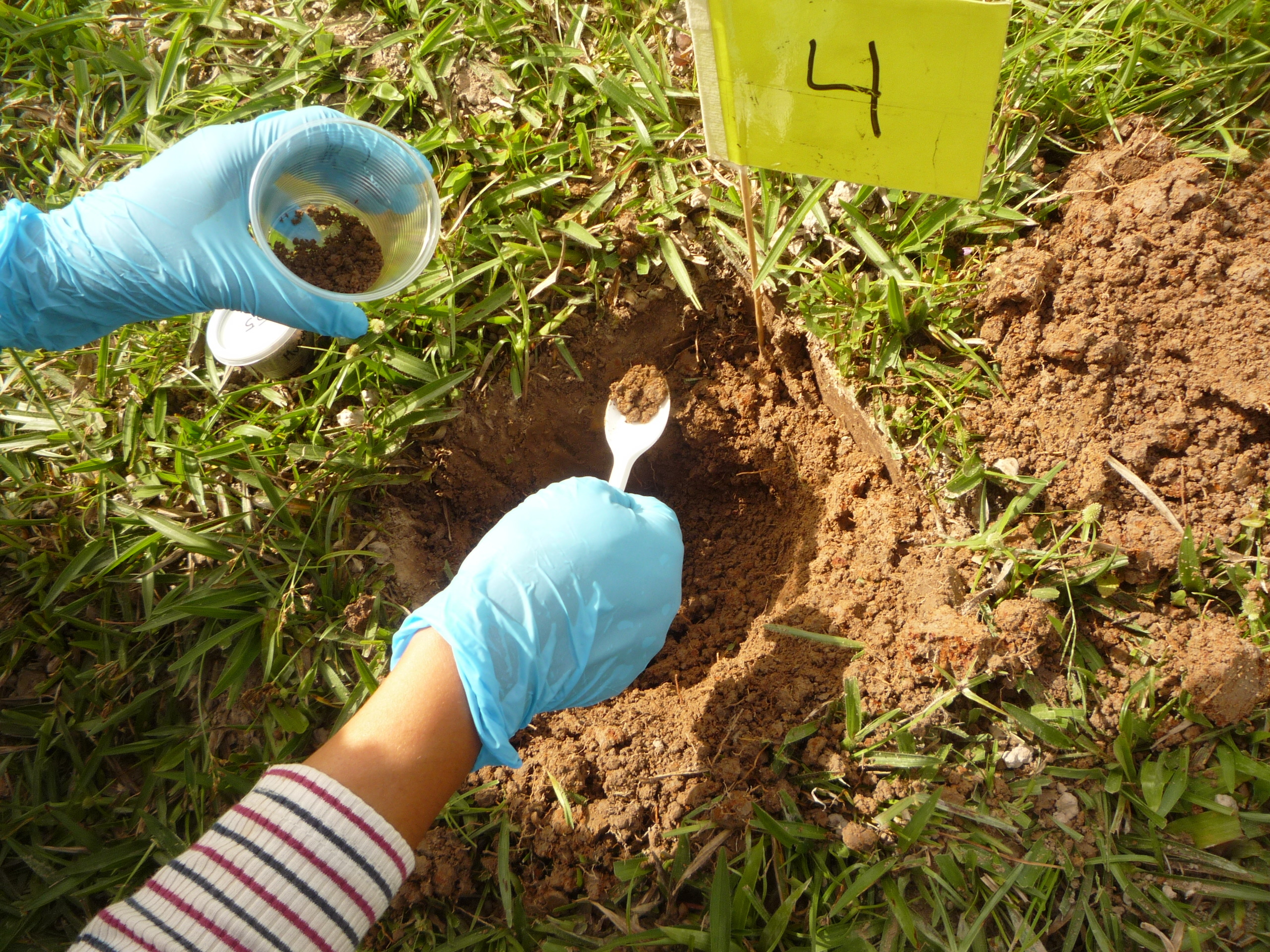 Toma de muestras de suelo, realizada en campo para el desarrollo de los proyectos de geología médica.