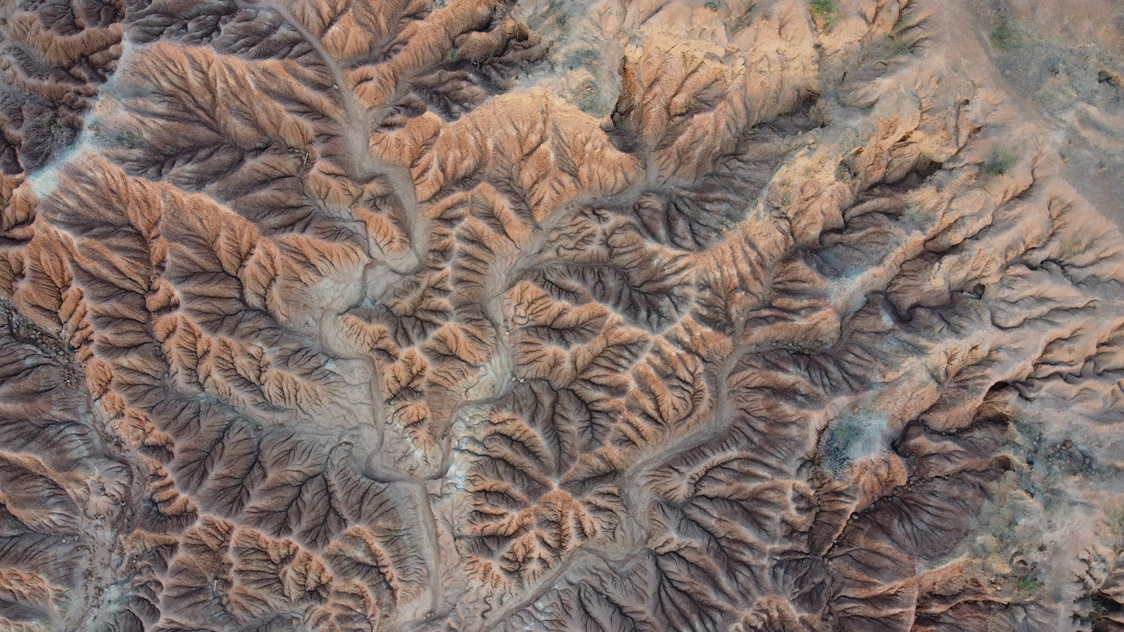 Foto aérea del emblemático paisaje de la Tatacoa