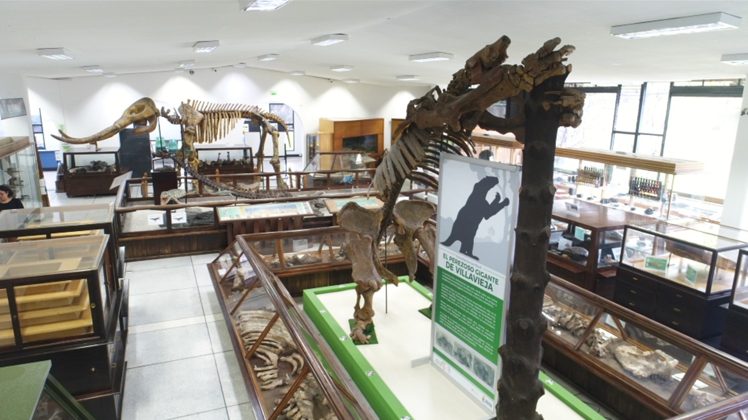 Museo Geológico Nacional José Royo y Gómez, sede Bogotá