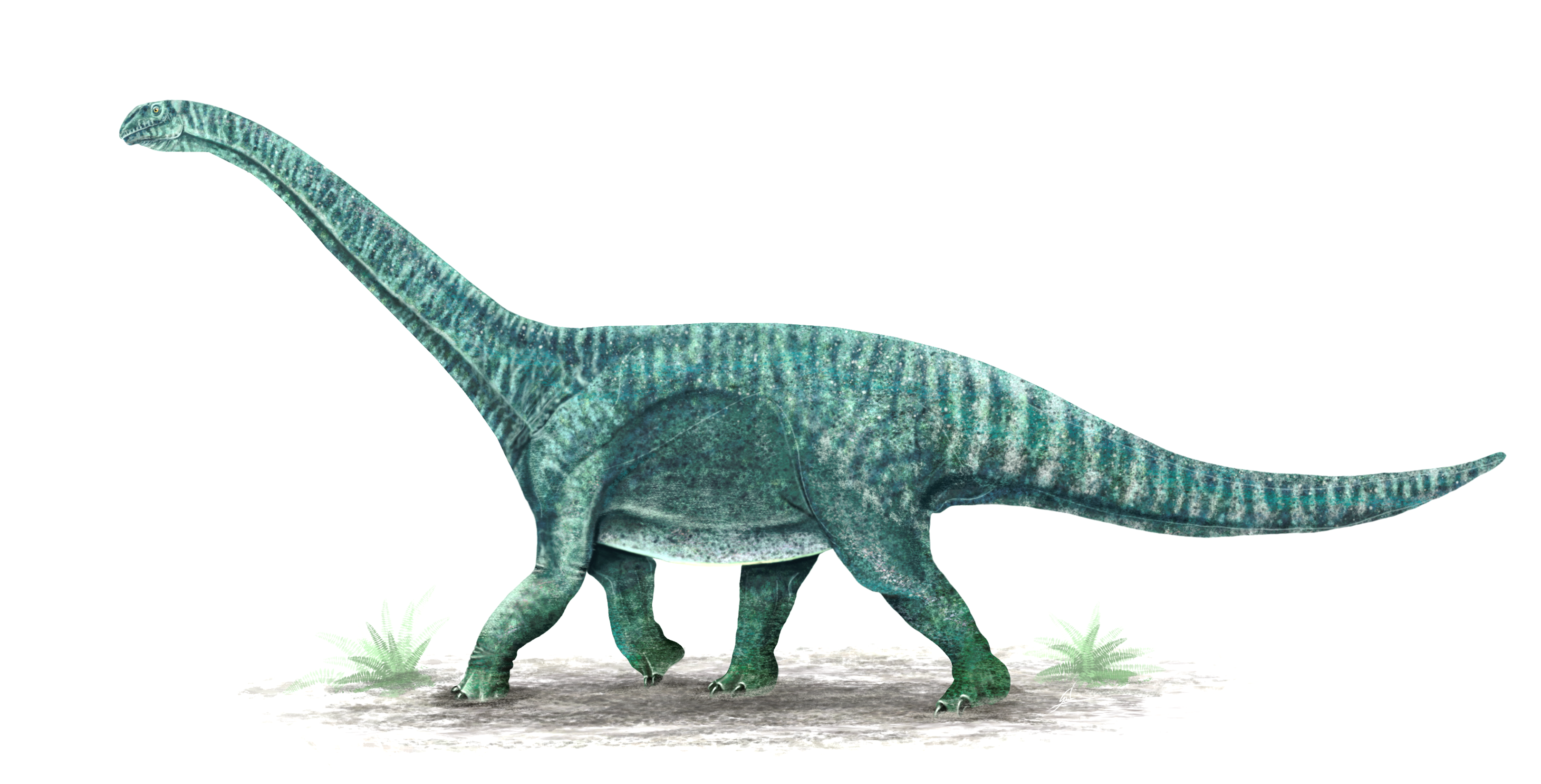 Perijasaurus lapaz, uno de los dos dinosaurios que se han descrito en Colombia