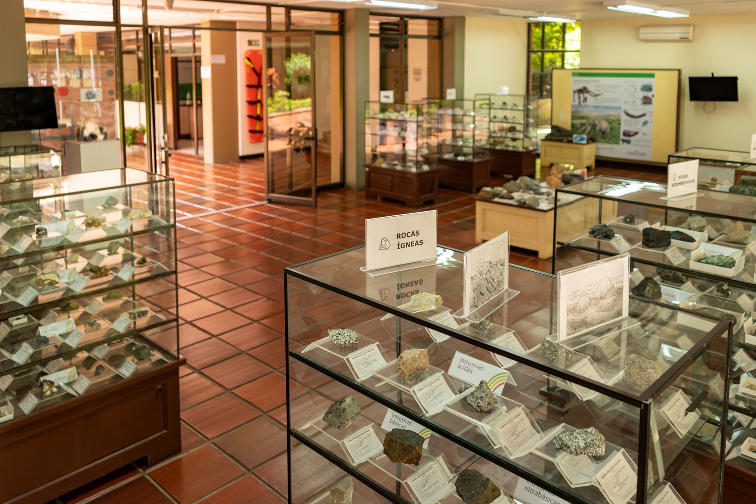 Museo sede Cali