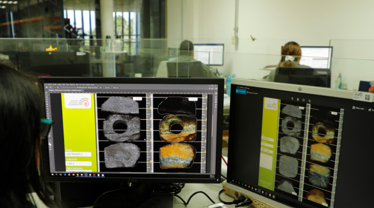 Procesamiento de imágenes bajo luz natural y luz UV.