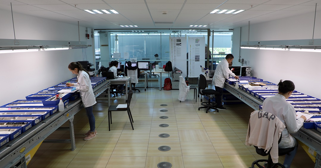 Muestras de núcleo extendidas en sala de consulta.