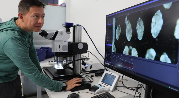 Visualización de foraminíferos en estereomicroscopio motorizado.