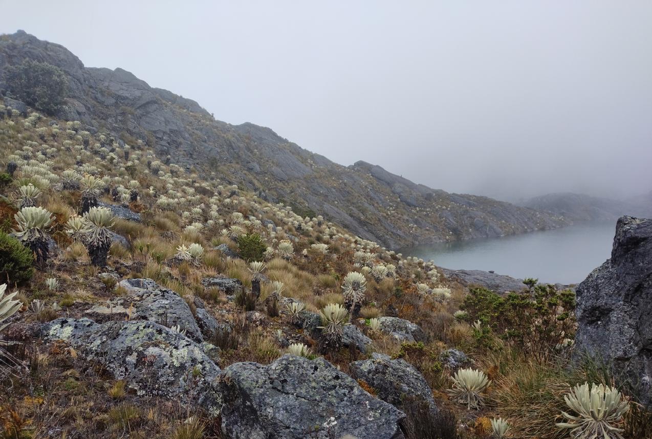 El páramo y la alta montaña en Santurbán son determinantes para la recarga de los acuíferos en los Santanderes