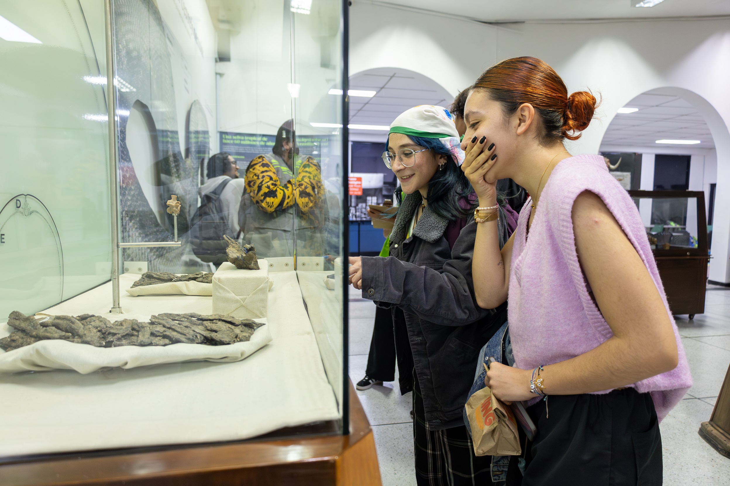 Exposición de la Titanoboa 