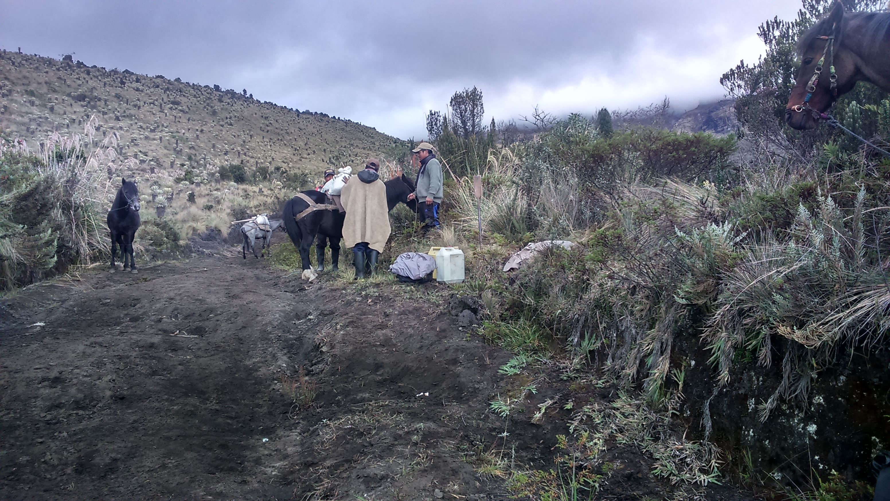 Trabajos de mantenimiento en el área de influencia del Complejo Volcánico de Cumbal (CVC). Foto: SGC-OVSPA.