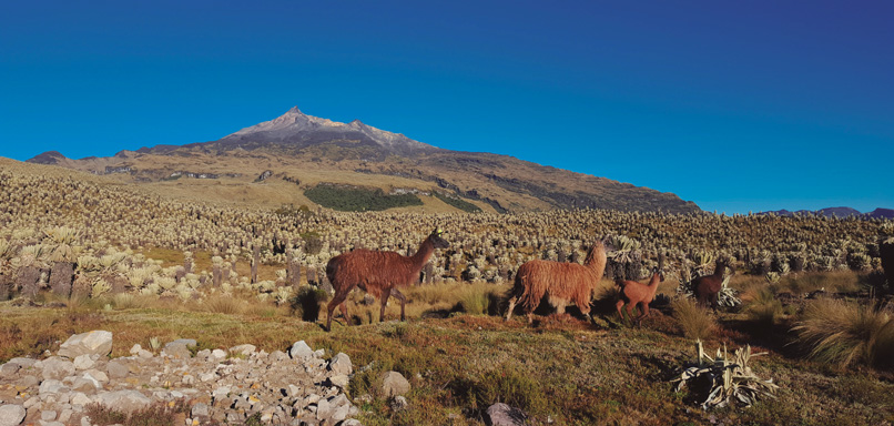 Volcán Chiles
