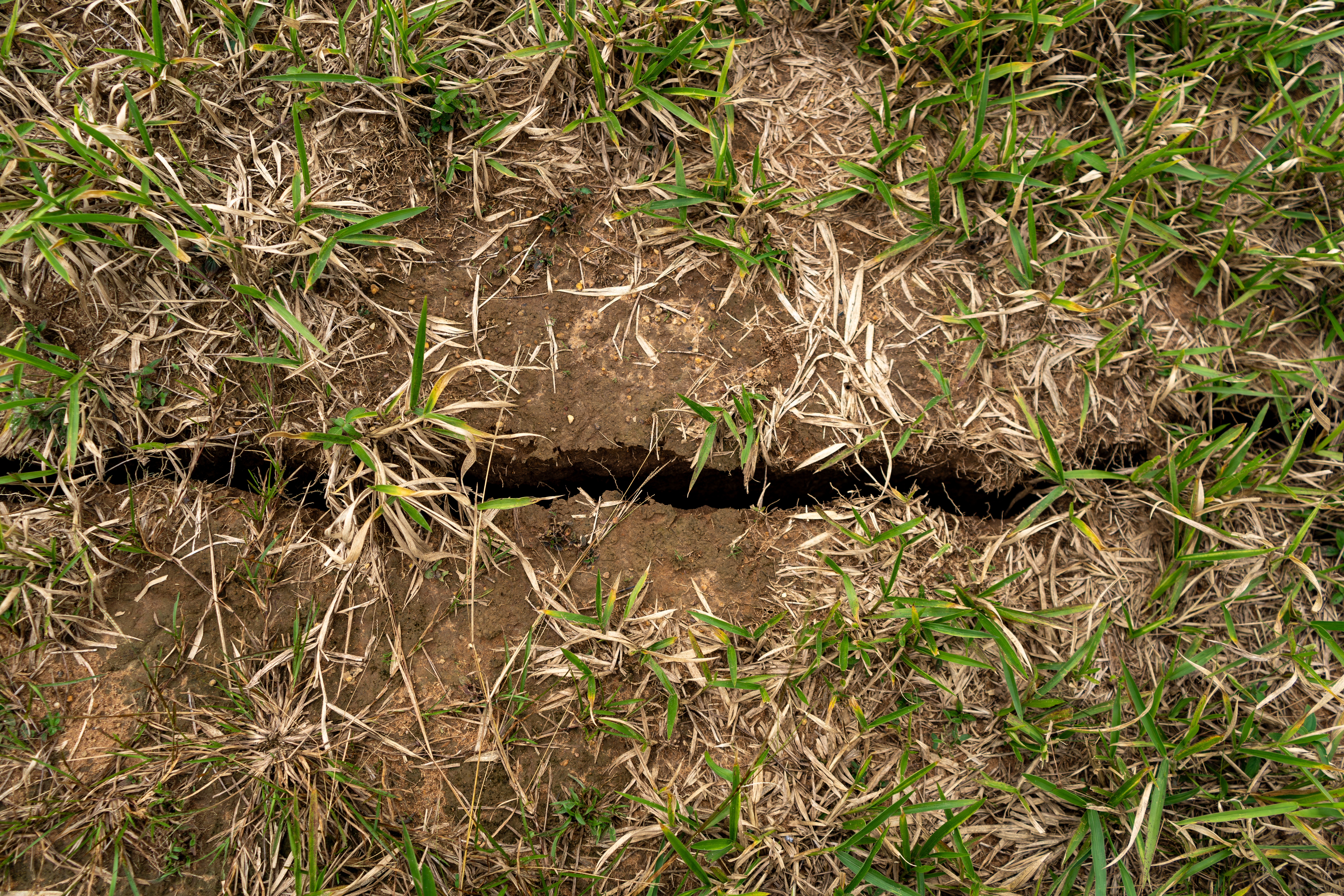 Agrietamientos y fracturación del terreno