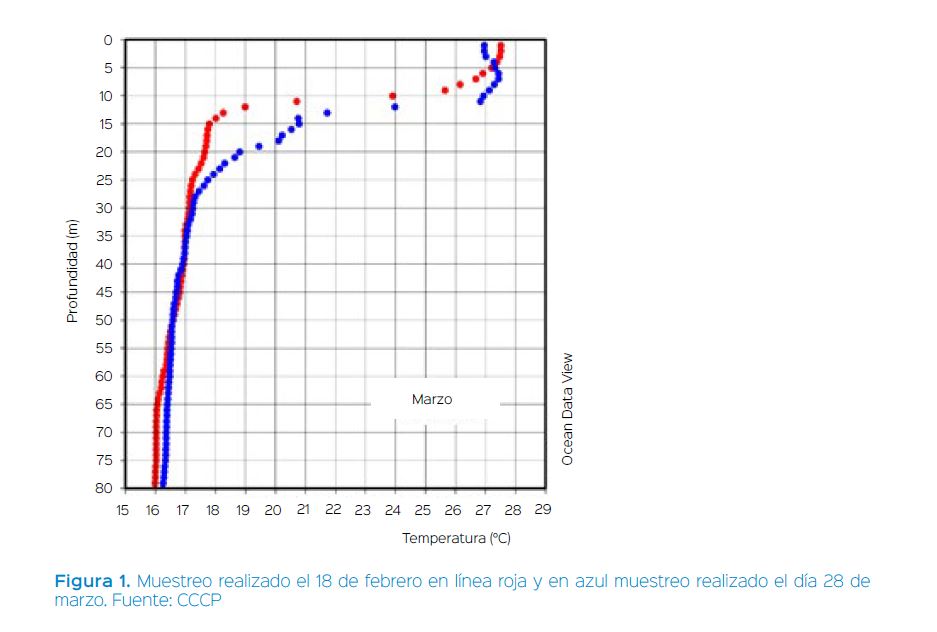 N2.JPG