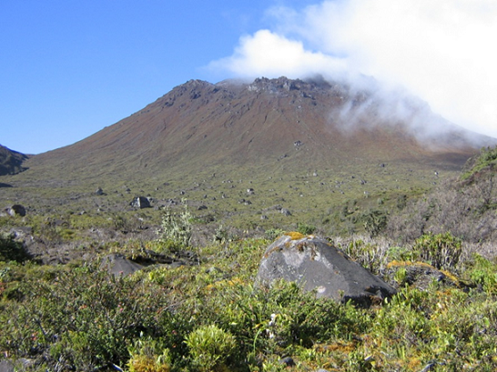 Modelo evolutivo del Complejo Volcánico Doña Juana: integración del análisis de litofacies, geocronología y petrología, continua
