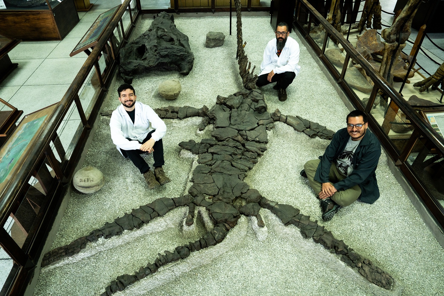 Cada pieza paleontológica estudiada por estos paleontólogos hace parte del rompecabezas de la historia geológica de Colombia.