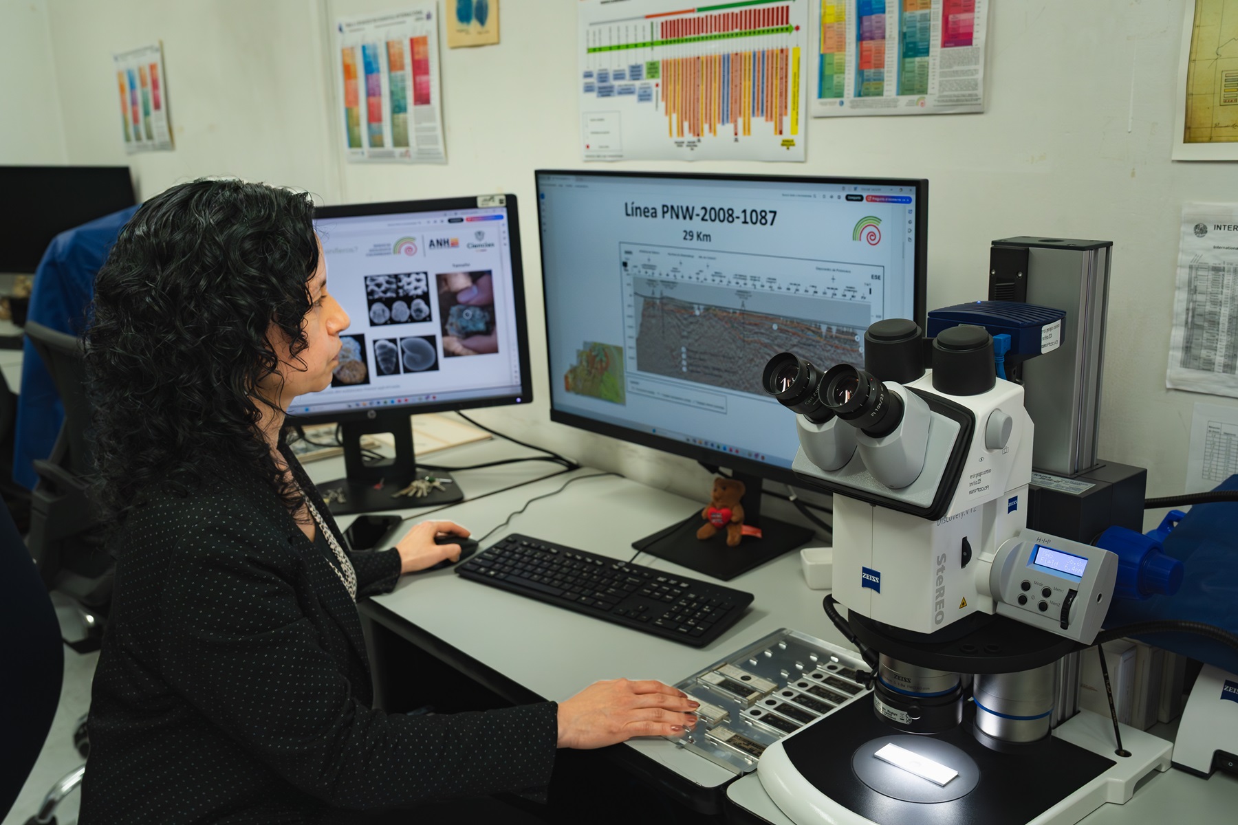 En la oficina de Diana Espitia se encuentra la colección de foraminíferos.
