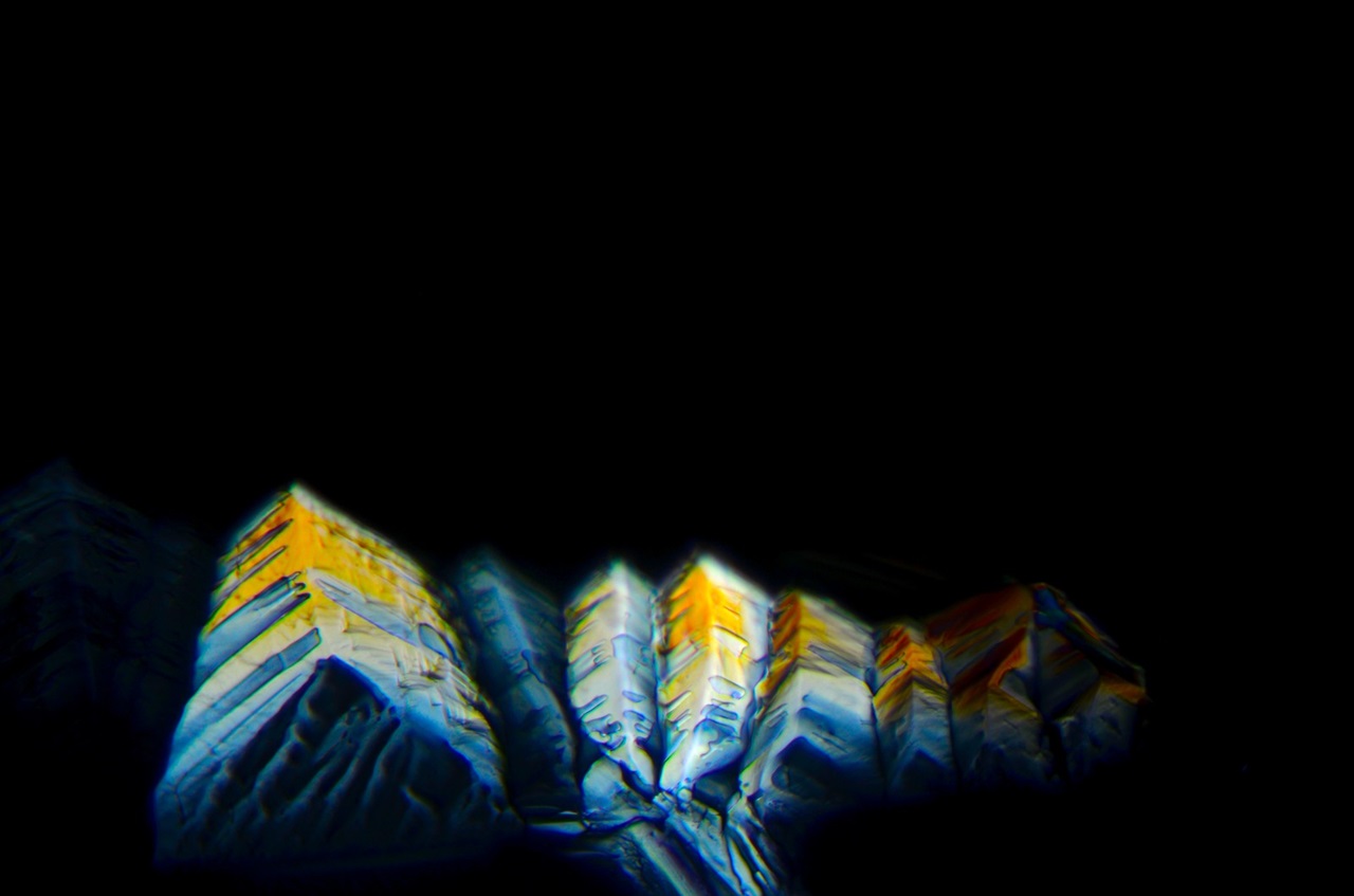 Vista microscópica del proceso de cristalización de sulfato de magnesio. 