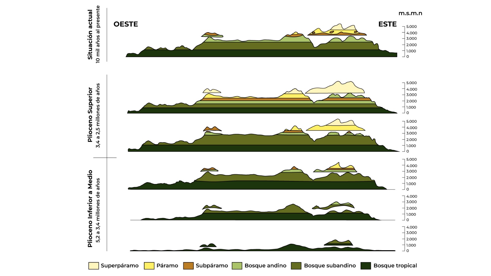 Proceso de levantamiento de la cordillera Oriental.