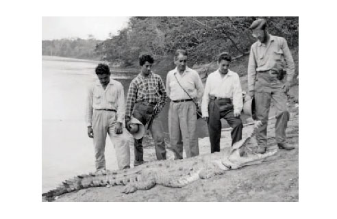 Thomas van der Hammen estudió plantas, polen y aspectos geológicos de la Amazonía.