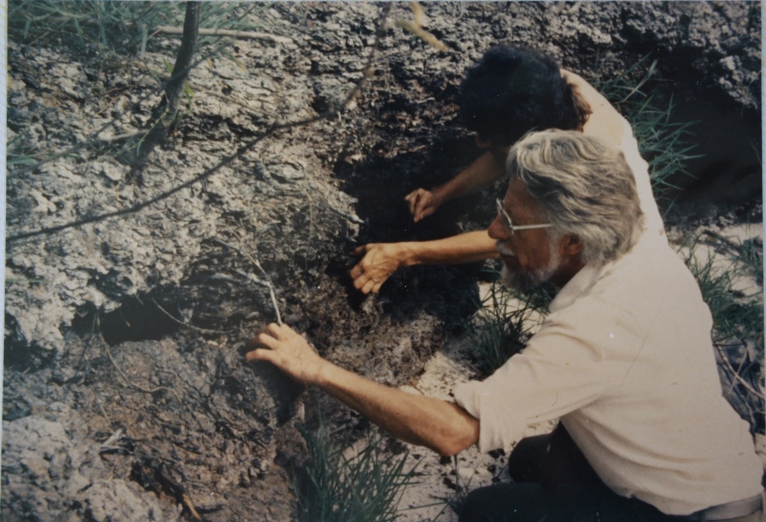 Para van der Hammen era necesario tener experiencias sensoriales profundas con la naturaleza. 