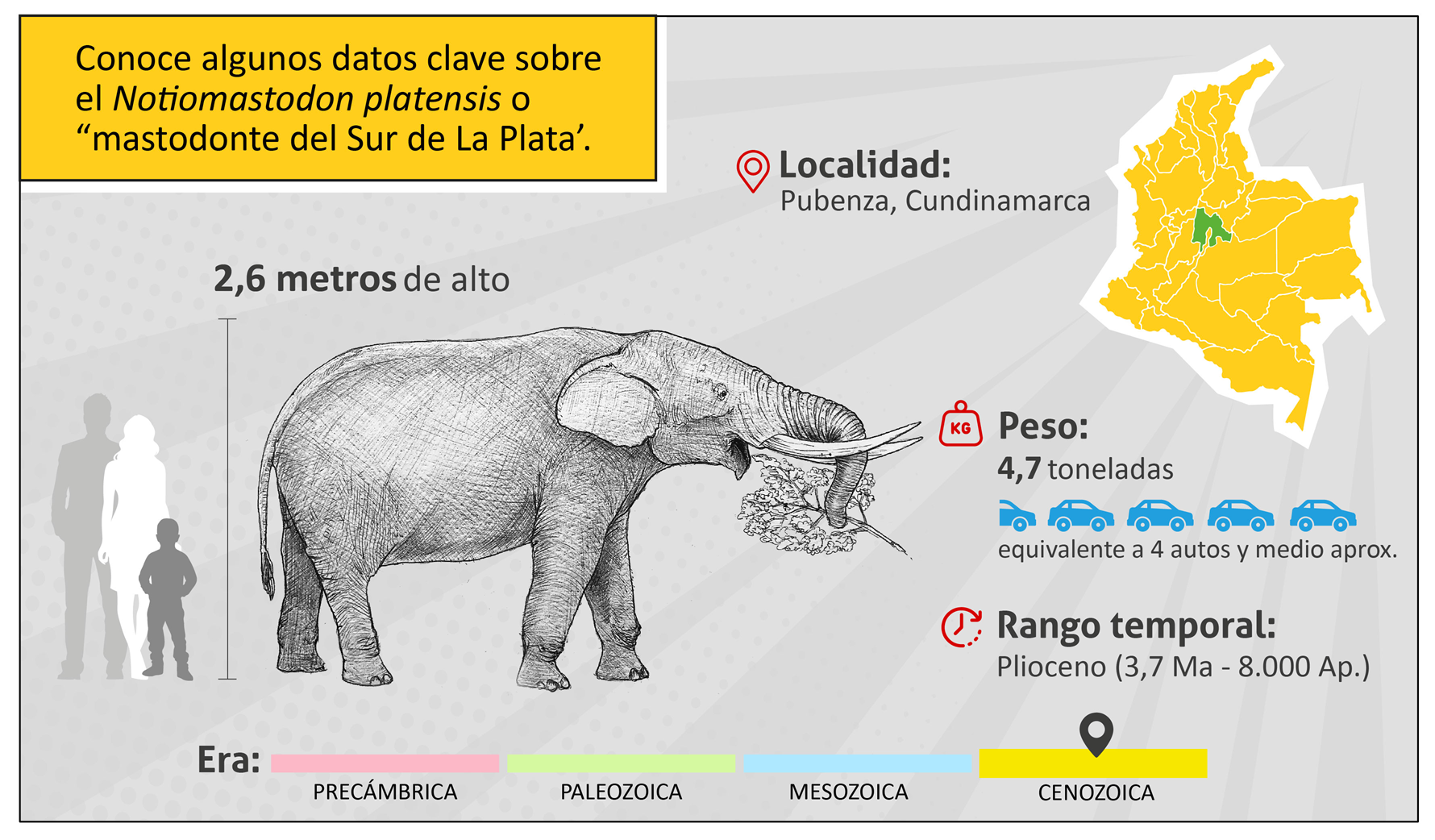 Gonfoterio-Cundinamarca