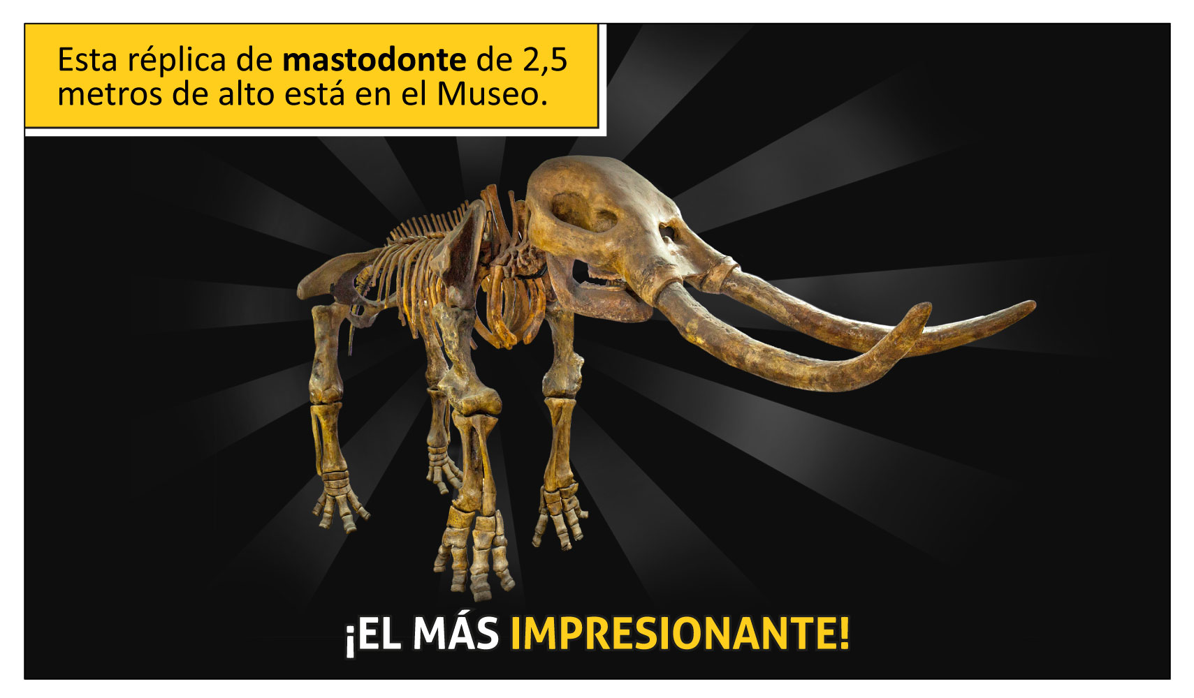 Esta réplica de mastodonte de 2,5 metros de alto está en el museo ¡El más Impresionante! 
