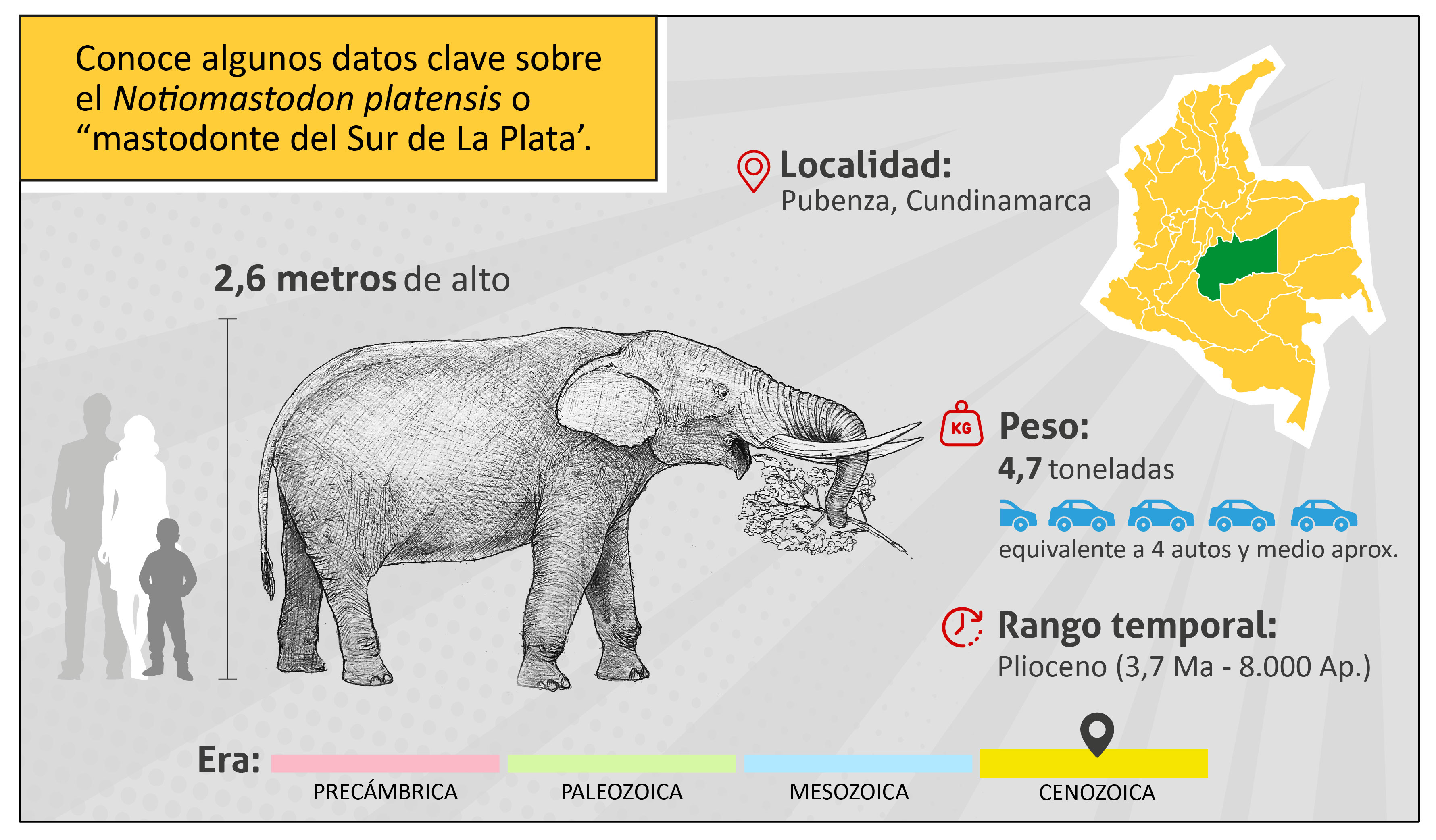 Conoce algunos datos clave sobre el Notiomastodon Platensis o Mastodonte del Sur de La Plata.