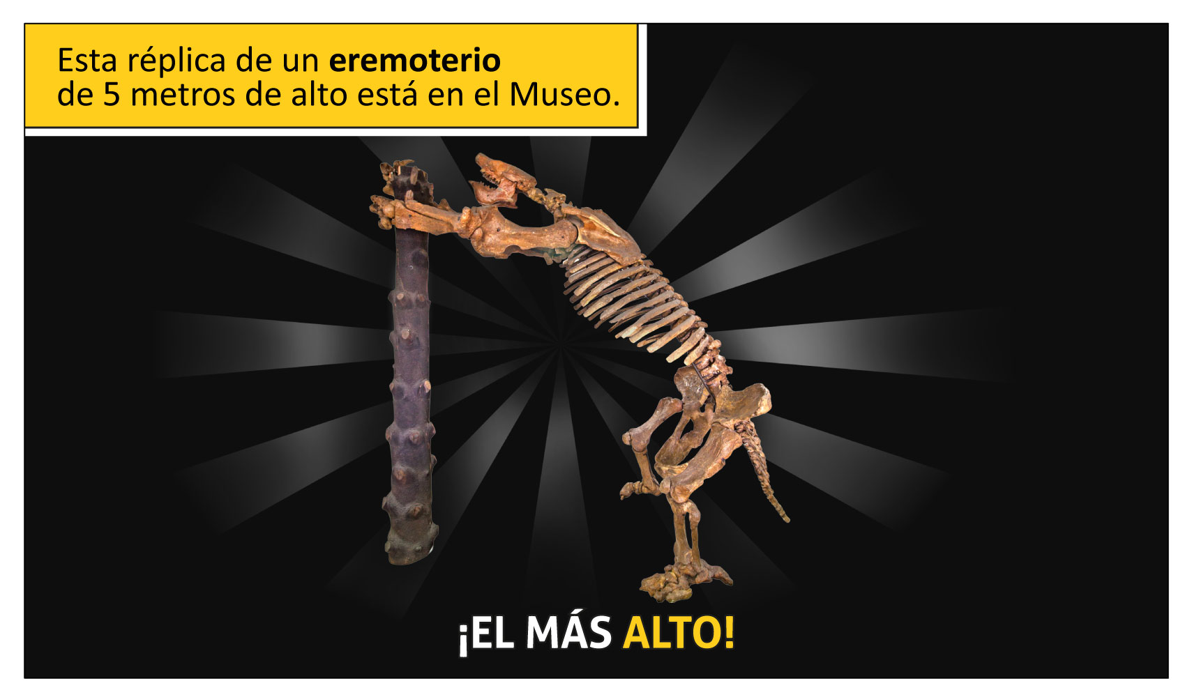 Esta réplica de un eremoterio de 5 metros de alto está en el Museo. ¡El más alto!