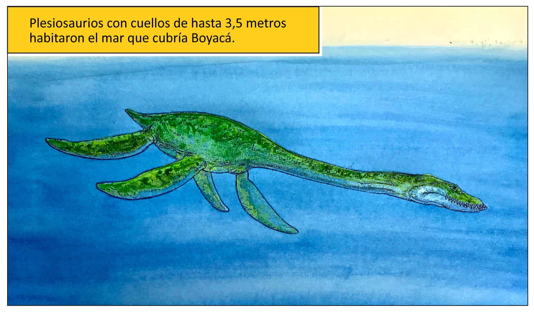 Callawayasaurus-carrusel_3