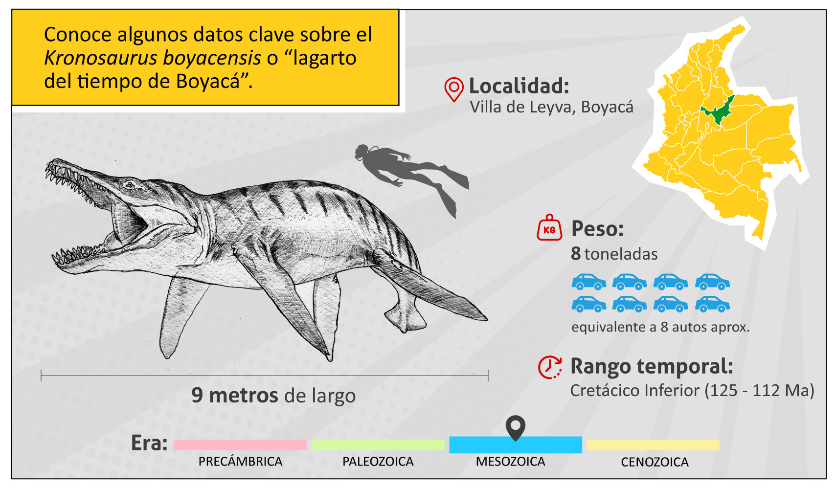 Conoce algunos datos clave sobre el Kronosaurus boyacensis o “lagarto del tiempo de Boyacá” 