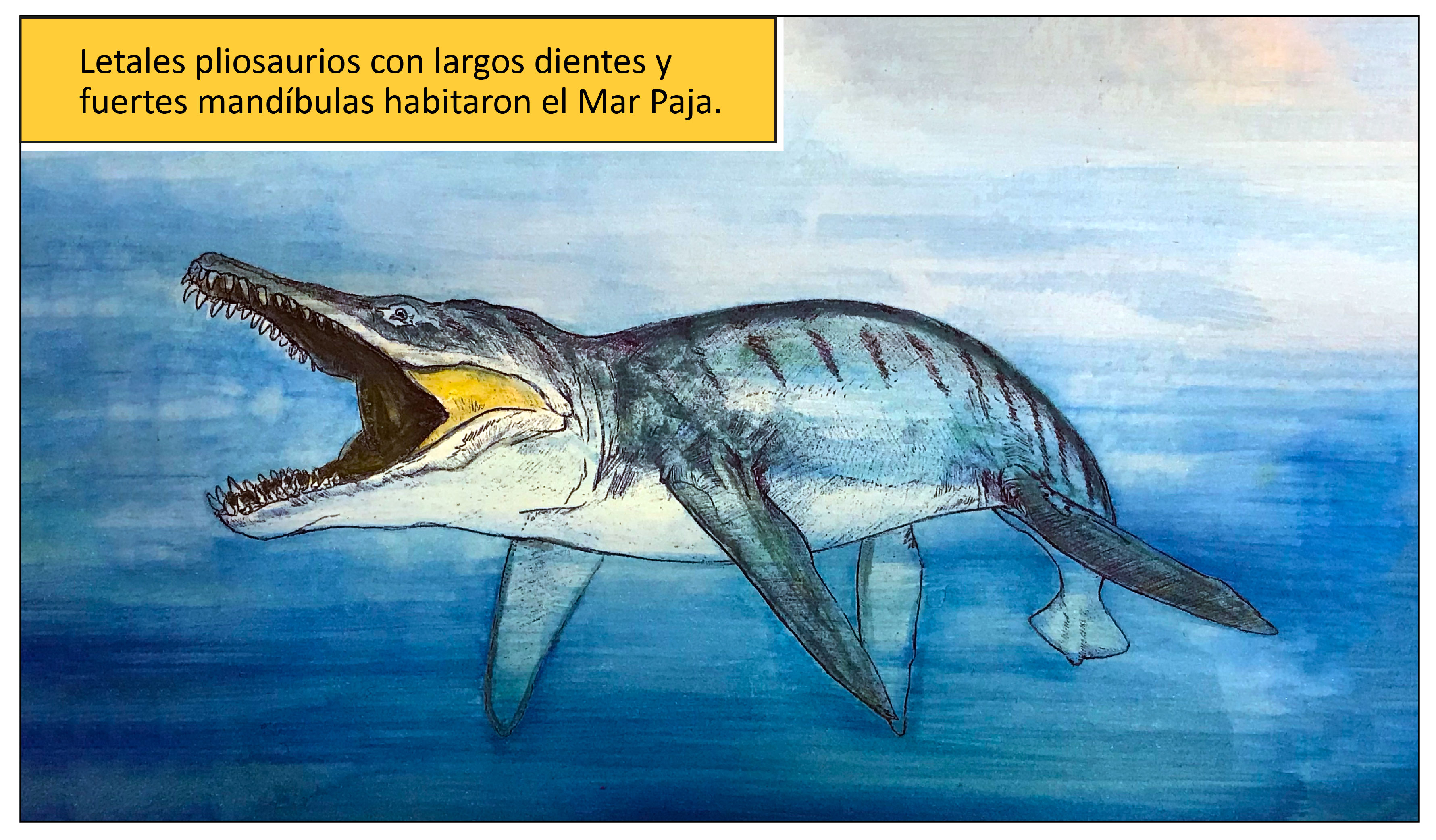 Letales pliosaurios con largos dientes y fuertes mandíbulas habitaron el Mar Paja.