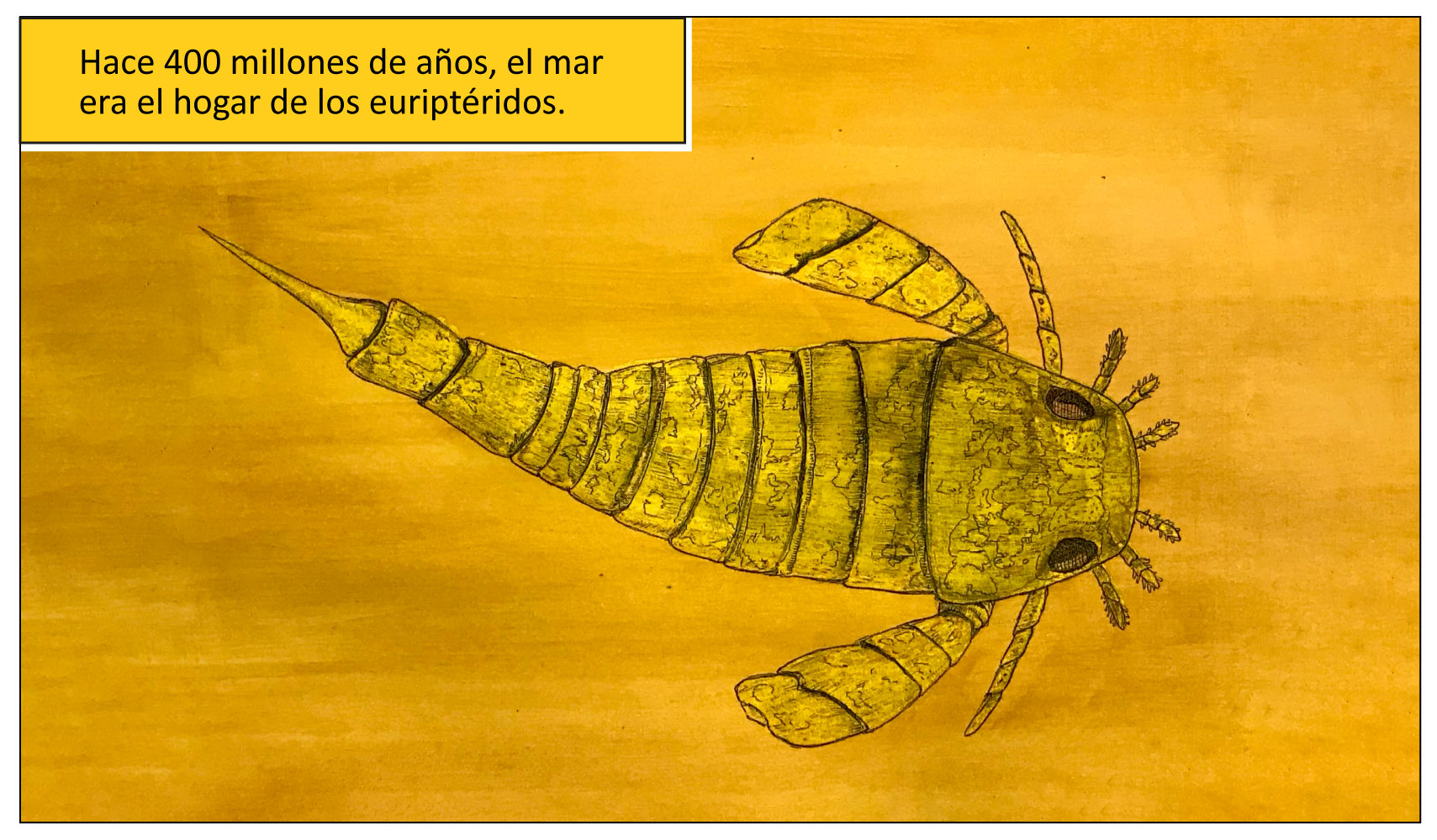 Hace 400 millones de años, el mar era el hogar de los euriptéridos.