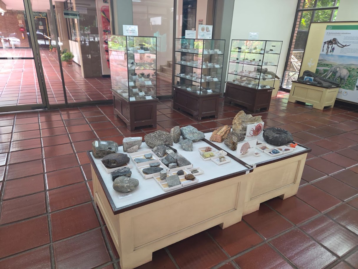 Exhibición museo JRG, sede Cali