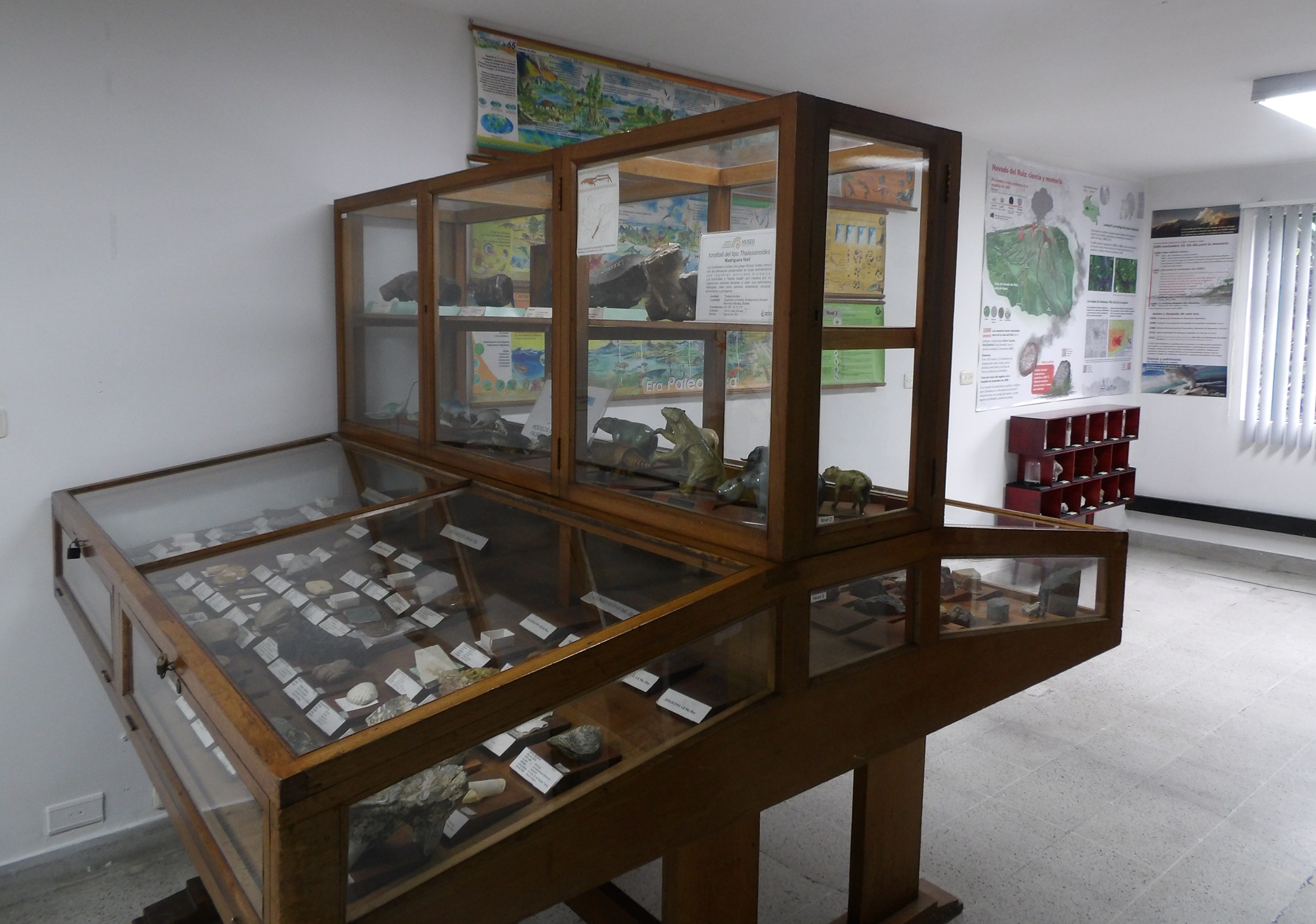 Museo Geológico Nacional José Royo y Gómez - Sede Medellín