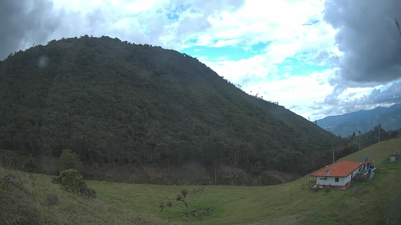 Cámara Anillo