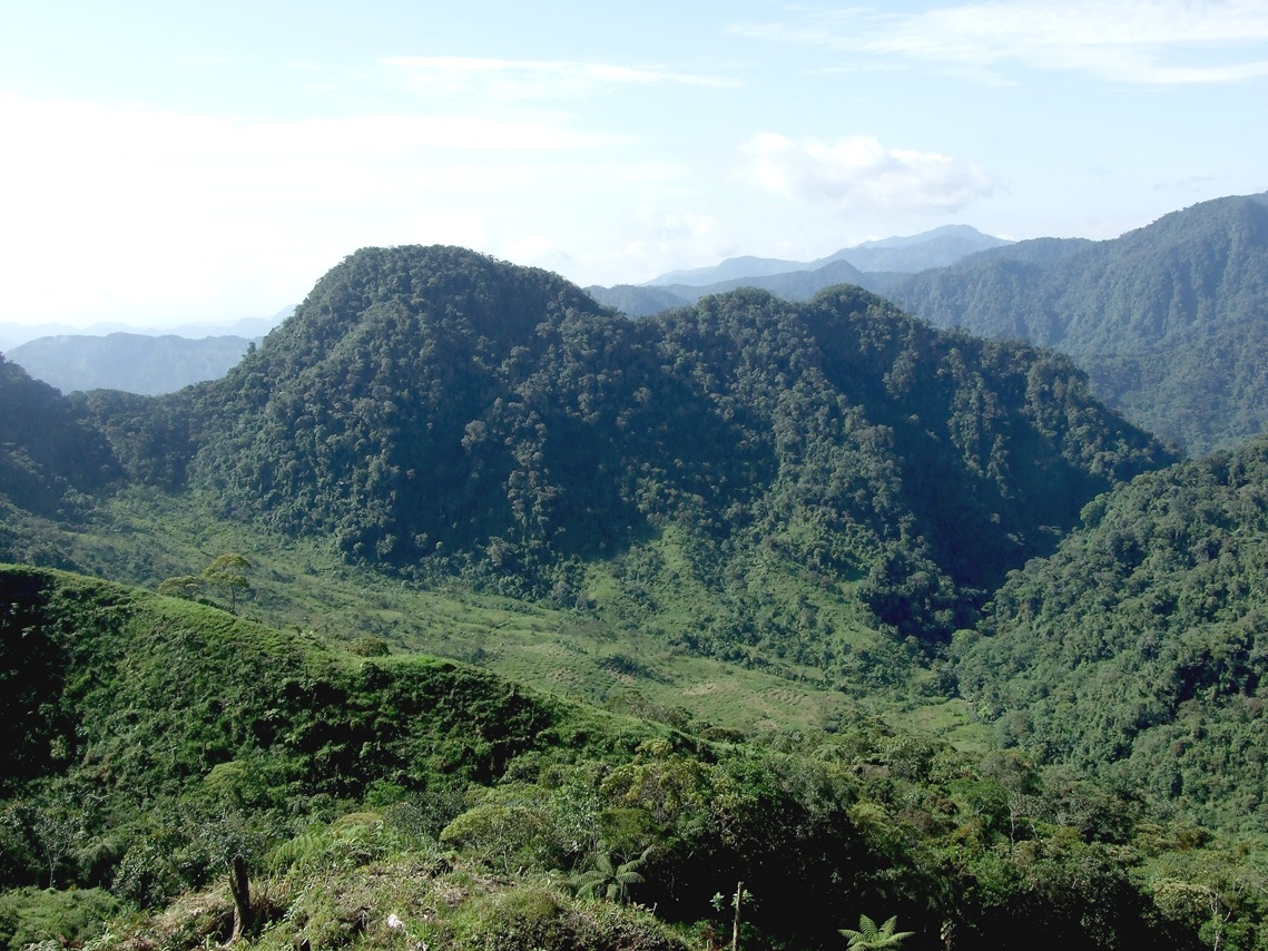 Volcán El Escondido año 2015