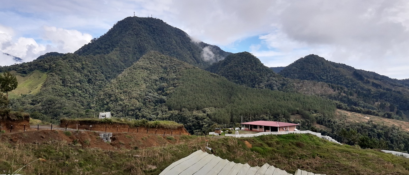Volcán Guadalupe